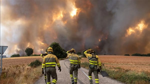 الرئيس نيوز