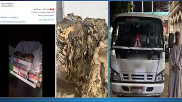 الرئيس نيوز