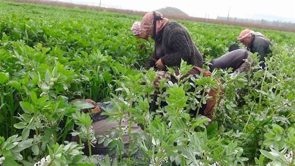 ارتفاع صافي الدخل