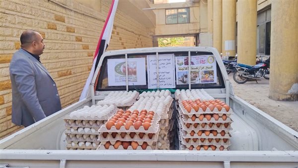 منافذ بيع البيض 