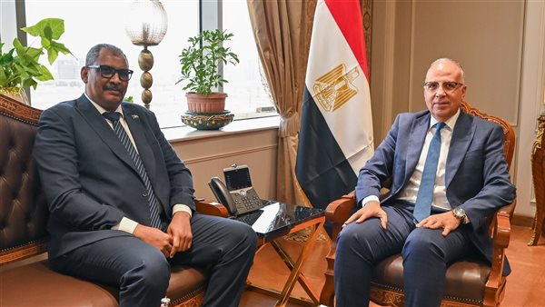 وزيرا الري بمصر والسودان
