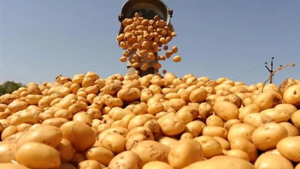 الرئيس نيوز