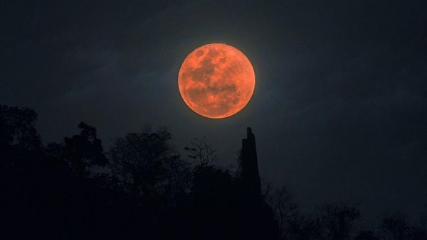 الرئيس نيوز