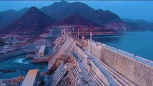 الرئيس نيوز