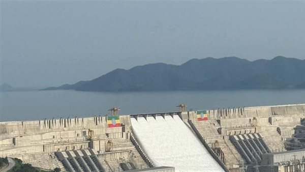 الرئيس نيوز