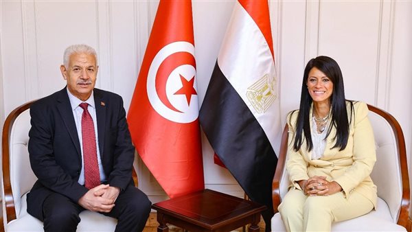 لقاء وزيرة التخطيط