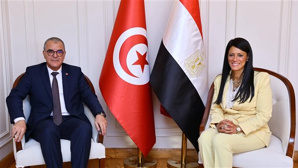 لقاء وزيرة التخطيط