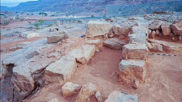 الرئيس نيوز