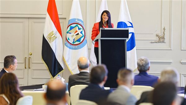 وزيرة التخطيط 