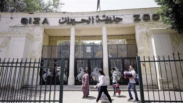 الرئيس نيوز