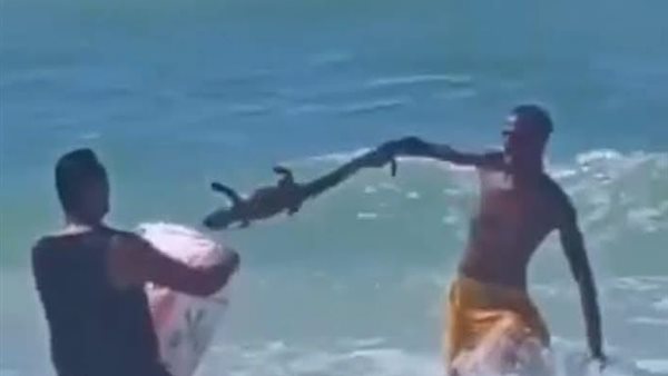 الرئيس نيوز