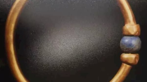 الرئيس نيوز