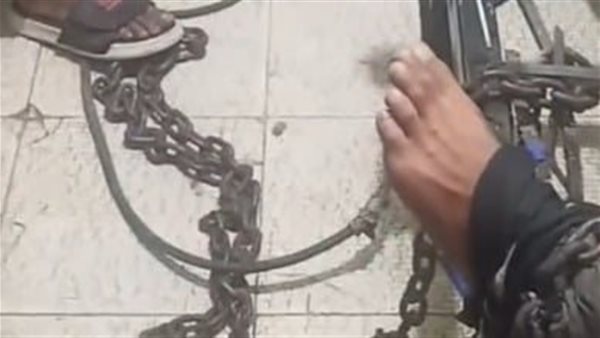 الرئيس نيوز