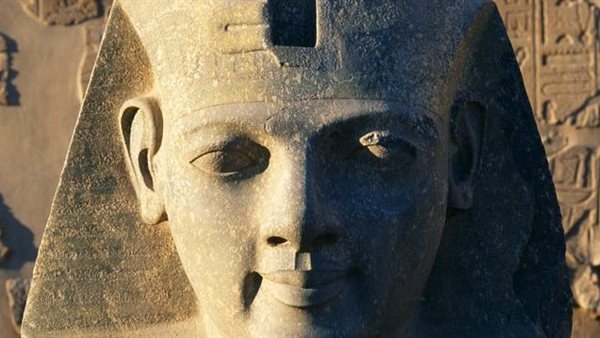 الرئيس نيوز