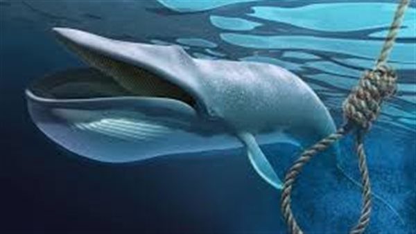 الرئيس نيوز