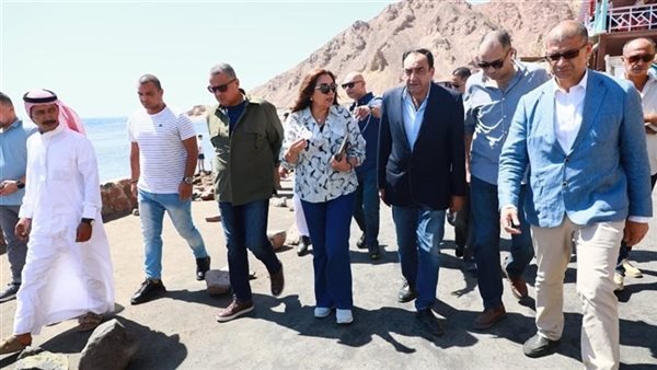 الرئيس نيوز