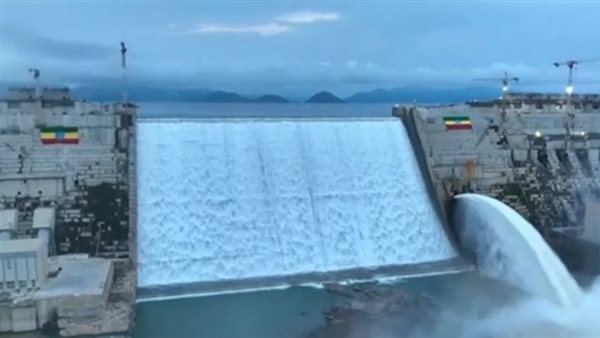 الرئيس نيوز