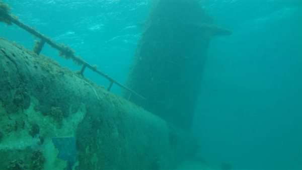 الرئيس نيوز