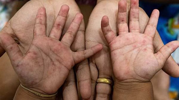 الرئيس نيوز