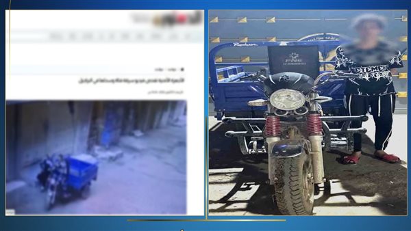 الرئيس نيوز