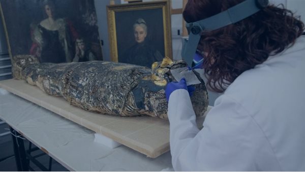 الرئيس نيوز