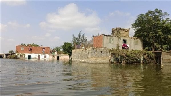 الرئيس نيوز