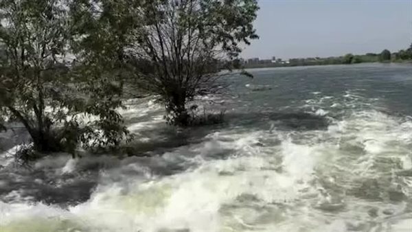 الرئيس نيوز