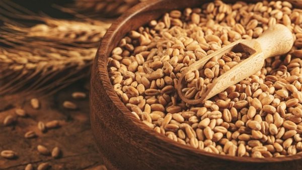 الرئيس نيوز