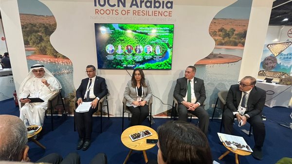 الرئيس نيوز