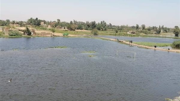 الرئيس نيوز