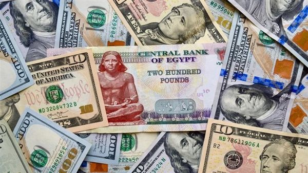 الرئيس نيوز