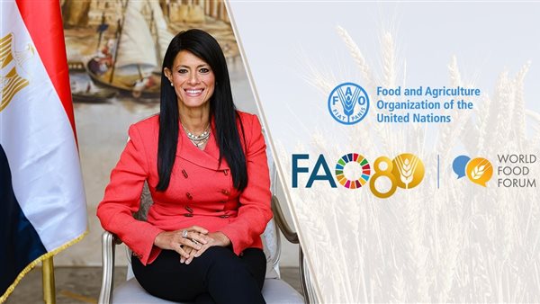 وزيرة التخطيط والتعاون