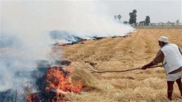 الرئيس نيوز