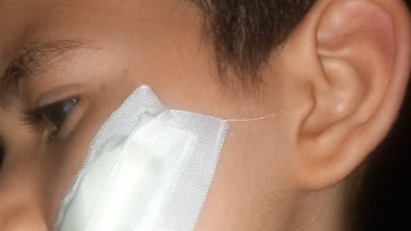 الرئيس نيوز