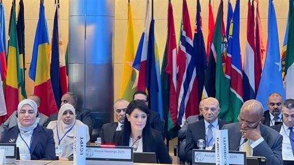 وزيرة التخطيط في