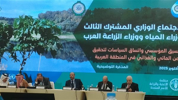 المجلس الوزاري العربي