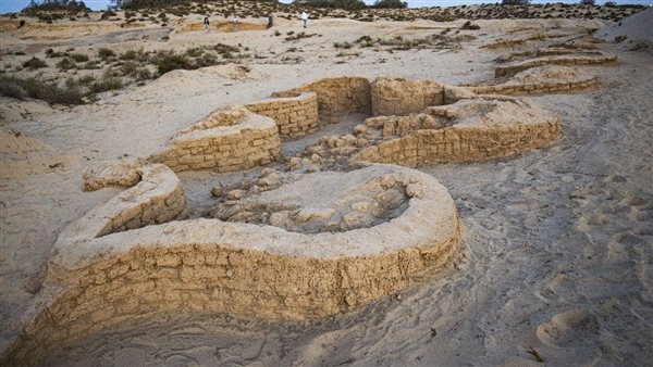 الرئيس نيوز