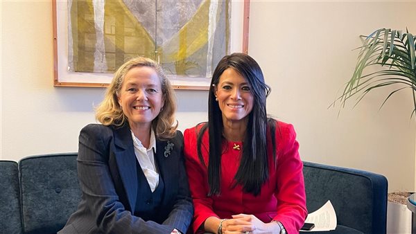 لقاء وزيرة التخطيط