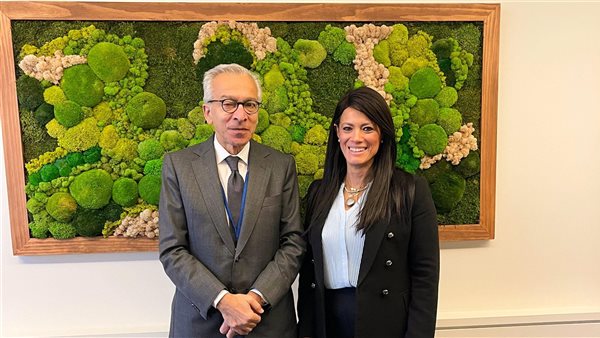 لقاءات وزيرة التخطيط