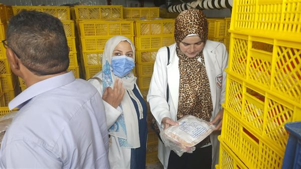 حملات بيطرية 