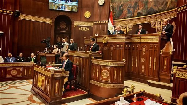 مجلس الشيوخ - أرشيفية