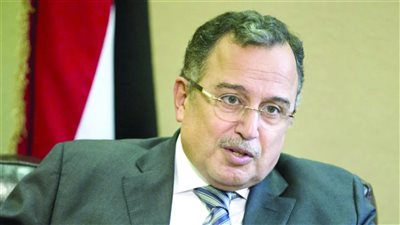 نبيل فهمي     