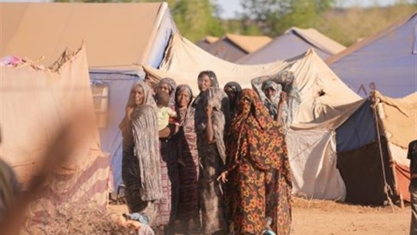 الرئيس نيوز