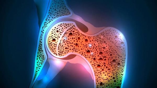 الرئيس نيوز