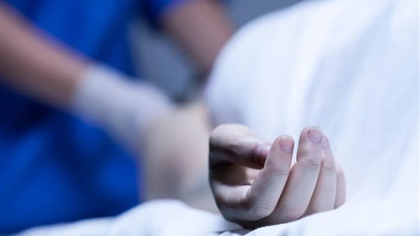 الرئيس نيوز