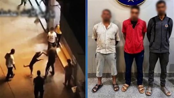 الرئيس نيوز