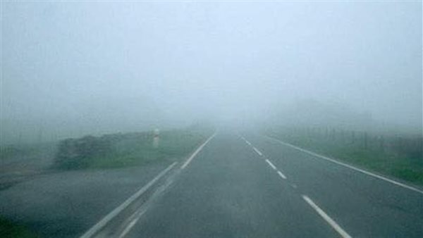 الرئيس نيوز