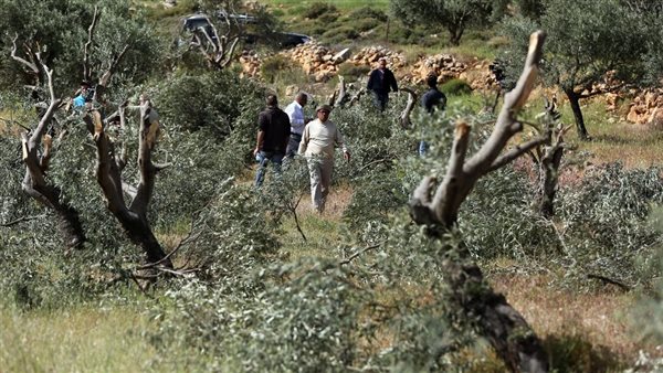 الرئيس نيوز