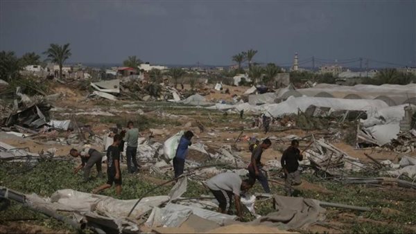 الرئيس نيوز