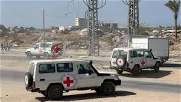 الرئيس نيوز